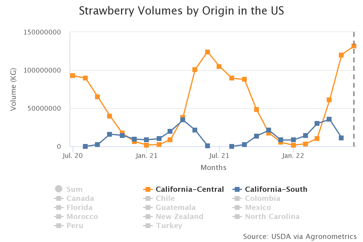 strawberry volumes by or 19